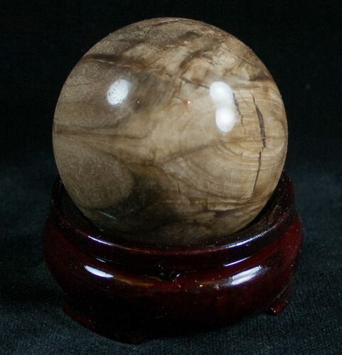 Colorful Petrified Wood Sphere #6797